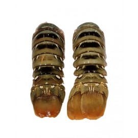 Rock Lobster Tail 500-600g